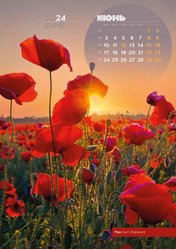 Перекидной календарь Цветы России
